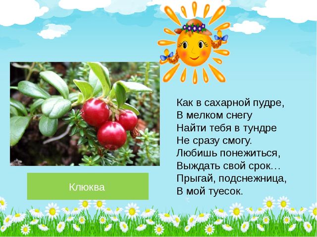 Презентация по познавательному развитию на тему "Лето в лесу" (Старшая группа)