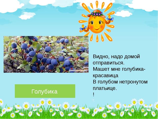 Презентация по познавательному развитию на тему "Лето в лесу" (Старшая группа)