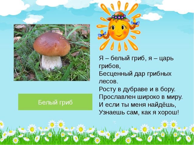 Презентация по познавательному развитию на тему "Лето в лесу" (Старшая группа)