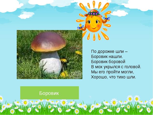 Презентация по познавательному развитию на тему "Лето в лесу" (Старшая группа)