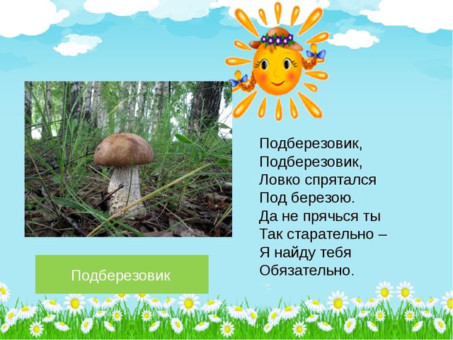 Презентация по познавательному развитию на тему "Лето в лесу" (Старшая группа)