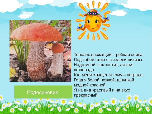 Презентация по познавательному развитию на тему "Лето в лесу" (Старшая группа)