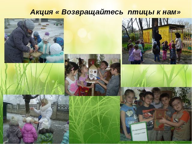 Презентация по экологии "С любовью к России мы делами добрыми едины"
