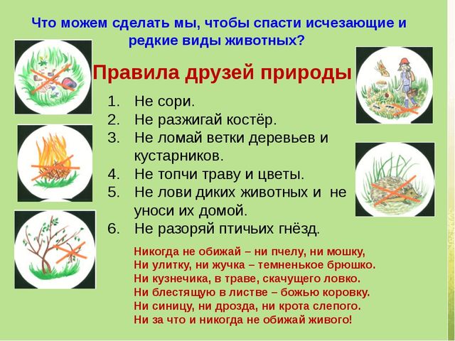 Презентация по экологии "С любовью к России мы делами добрыми едины"