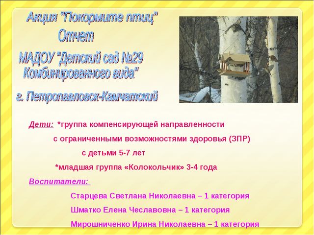 Презентация "Птицы и дети"