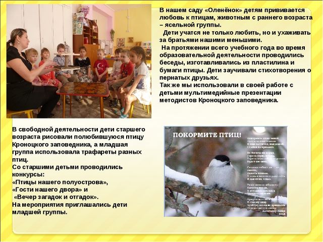 Презентация "Птицы и дети"