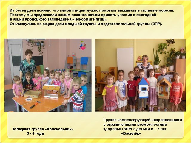 Презентация "Птицы и дети"