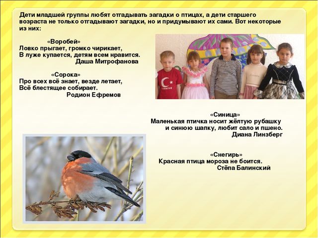 Презентация "Птицы и дети"