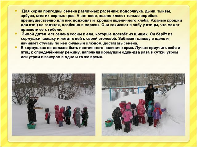 Презентация "Птицы и дети"