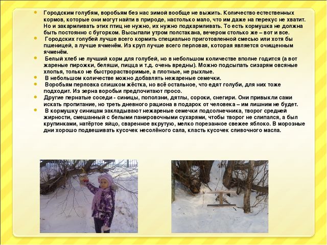 Презентация "Птицы и дети"