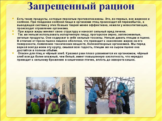 Презентация "Птицы и дети"