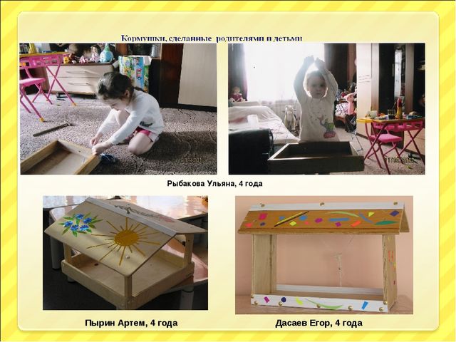 Презентация "Птицы и дети"