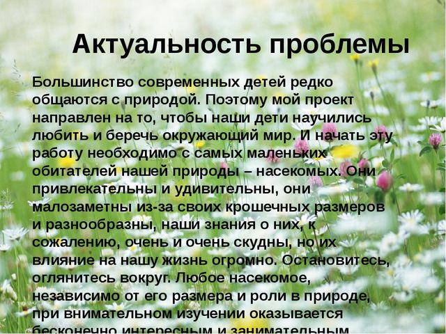 Презентация - проект "Насекомые"