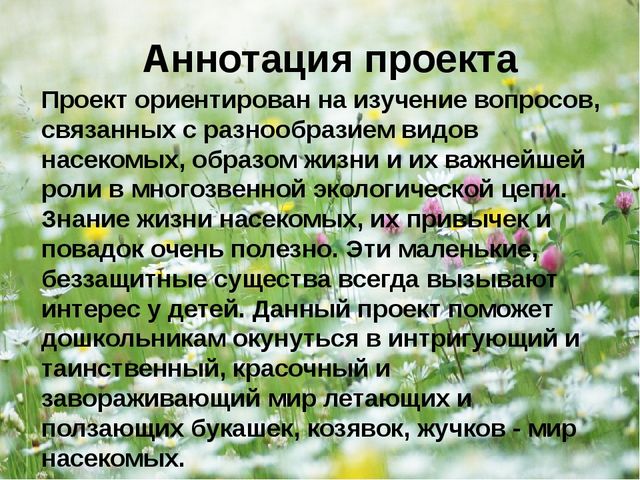 Презентация - проект "Насекомые"