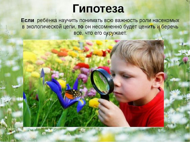 Презентация - проект "Насекомые"