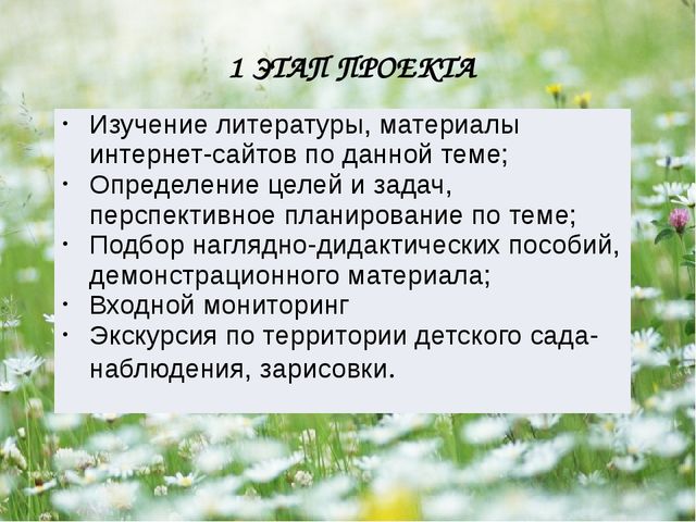 Презентация - проект "Насекомые"