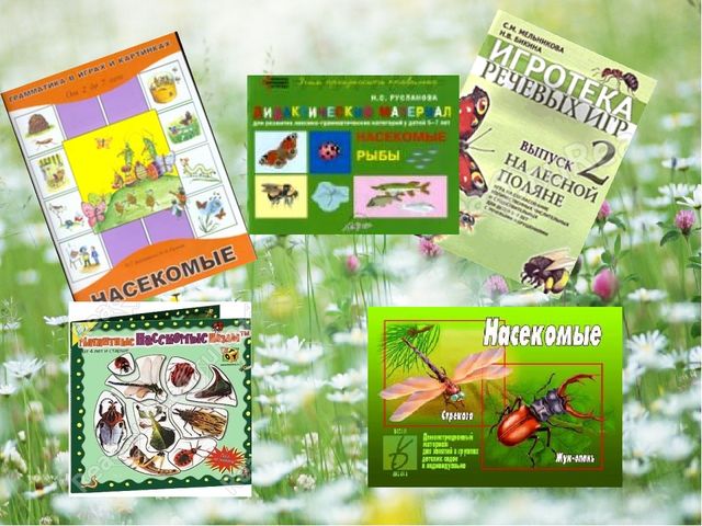 Презентация - проект "Насекомые"