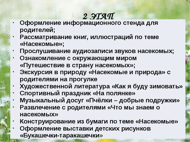 Презентация - проект "Насекомые"