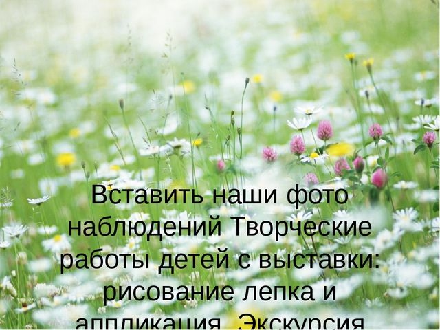 Презентация - проект "Насекомые"