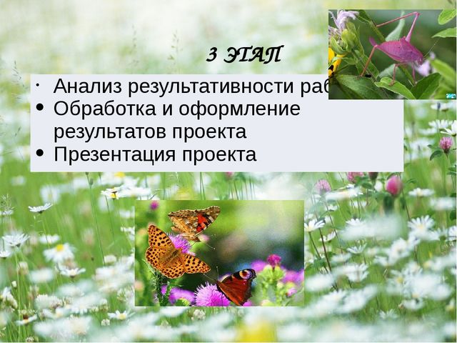Презентация - проект "Насекомые"