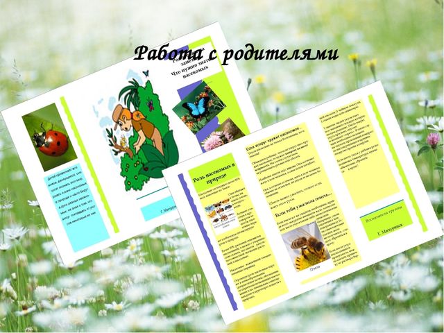 Презентация - проект "Насекомые"