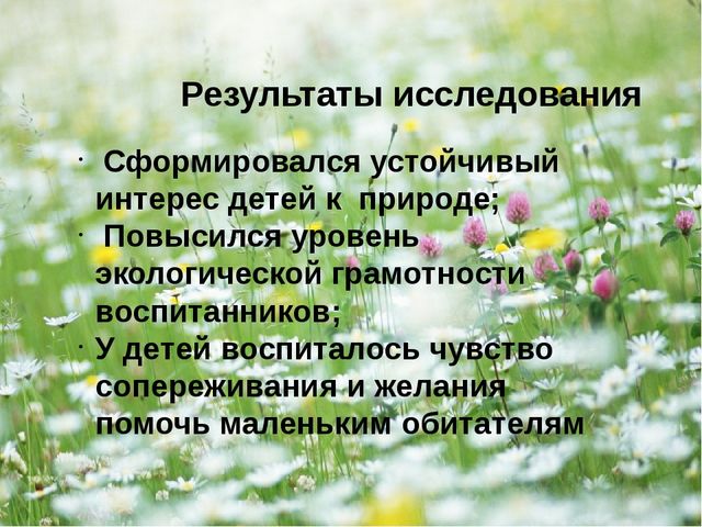 Презентация - проект "Насекомые"