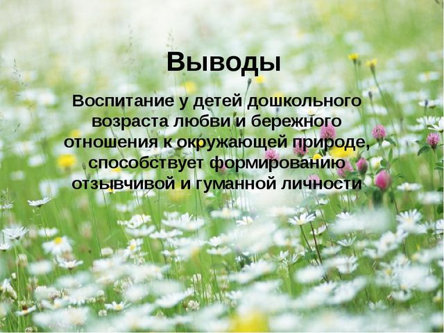 Презентация - проект "Насекомые"