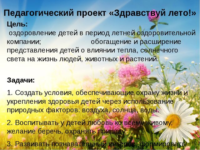 Презентация- проект "Здравствуй лето"