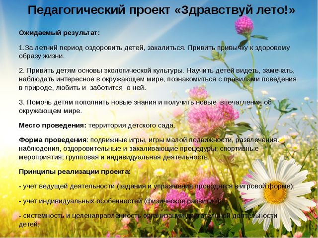 Презентация- проект "Здравствуй лето"