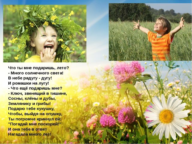 Презентация- проект "Здравствуй лето"