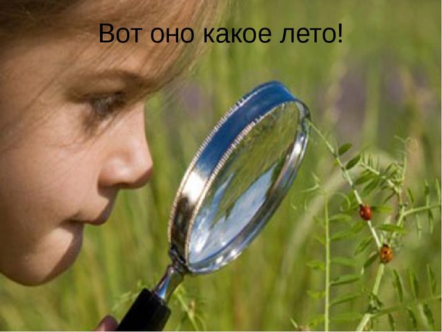 Презентация- проект "Здравствуй лето"