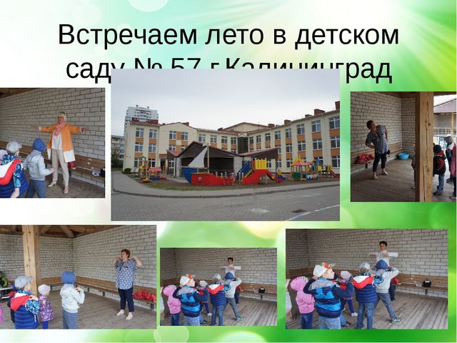Презентация- проект "Здравствуй лето"