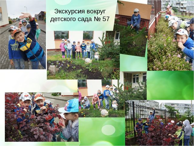 Презентация- проект "Здравствуй лето"