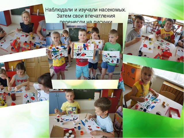 Презентация- проект "Здравствуй лето"