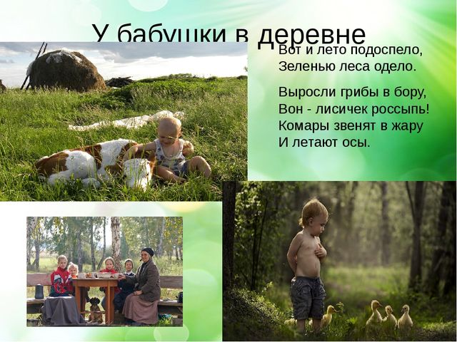 Презентация- проект "Здравствуй лето"
