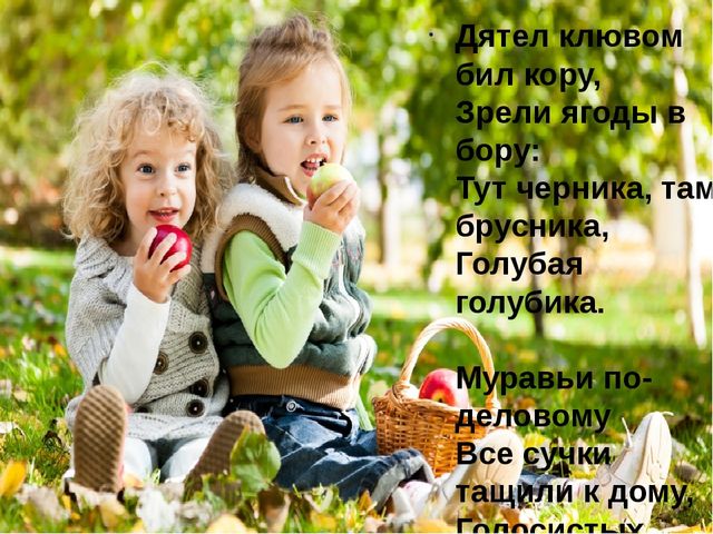 Презентация- проект "Здравствуй лето"