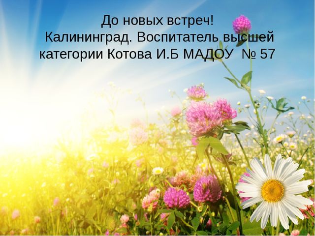 Презентация- проект "Здравствуй лето"