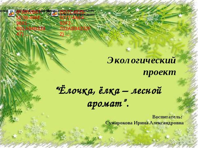 Презентация экологического проекта "Ёлочка, ёлка - лесной аромат".