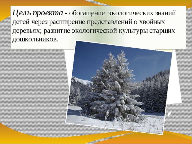 Презентация экологического проекта "Ёлочка, ёлка - лесной аромат".