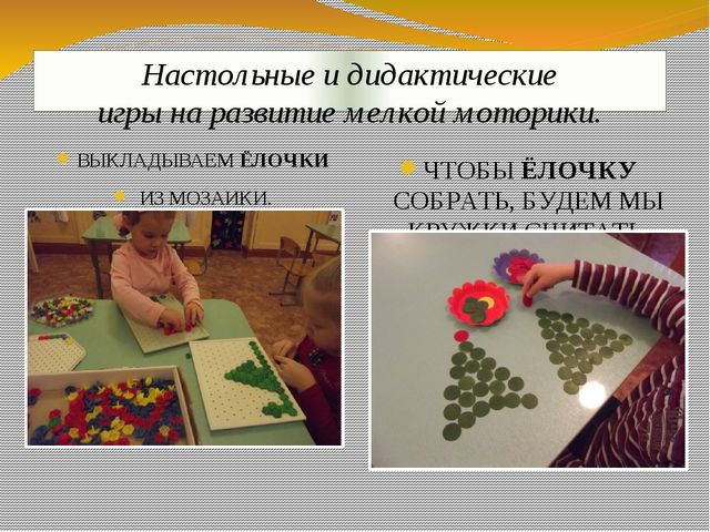 Презентация экологического проекта "Ёлочка, ёлка - лесной аромат".