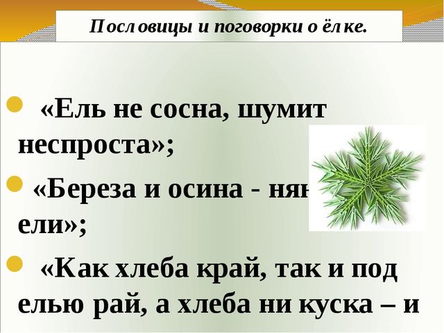Презентация экологического проекта "Ёлочка, ёлка - лесной аромат".