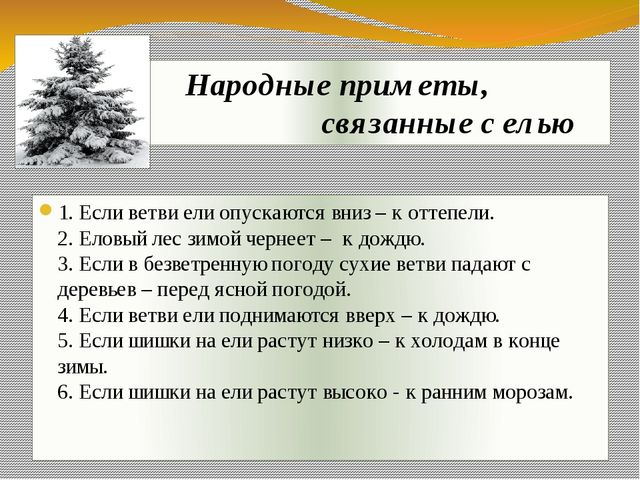 Презентация экологического проекта "Ёлочка, ёлка - лесной аромат".