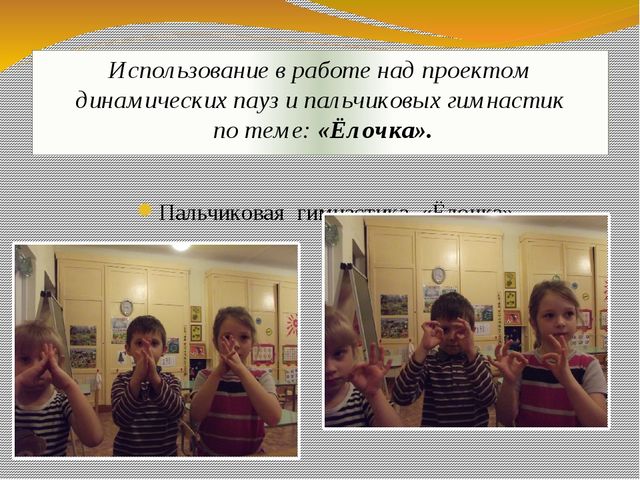 Презентация экологического проекта "Ёлочка, ёлка - лесной аромат".