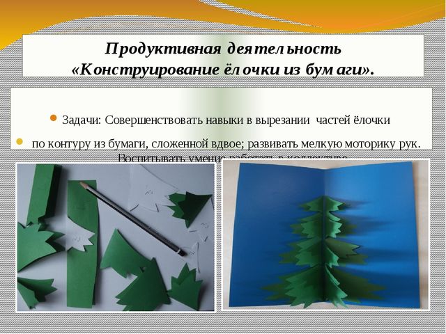 Презентация экологического проекта "Ёлочка, ёлка - лесной аромат".