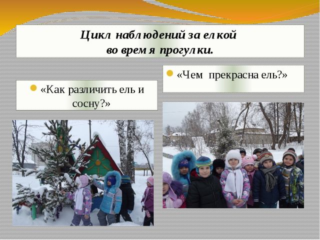 Презентация экологического проекта "Ёлочка, ёлка - лесной аромат".