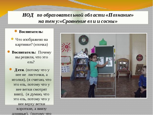 Презентация экологического проекта "Ёлочка, ёлка - лесной аромат".