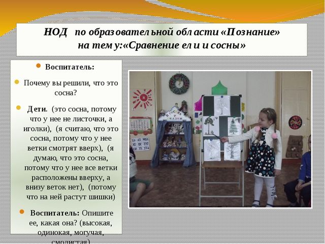 Презентация экологического проекта "Ёлочка, ёлка - лесной аромат".