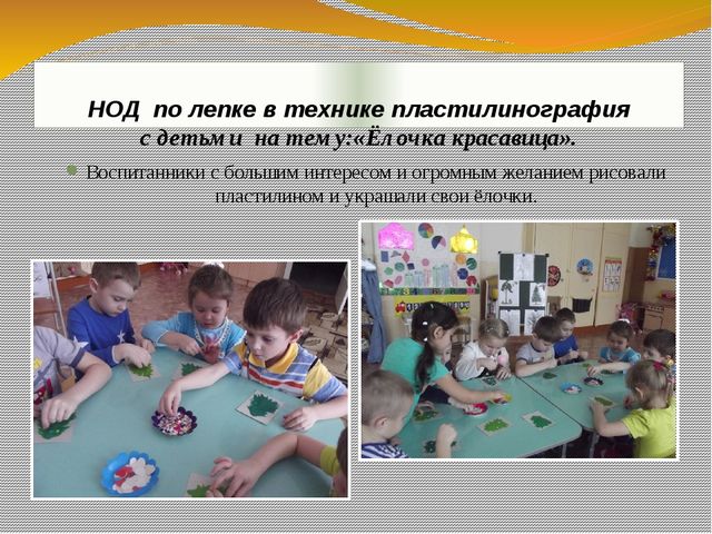 Презентация экологического проекта "Ёлочка, ёлка - лесной аромат".