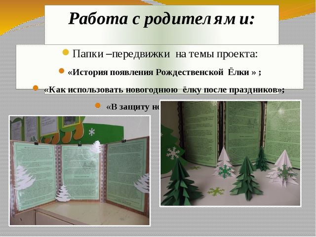 Презентация экологического проекта "Ёлочка, ёлка - лесной аромат".