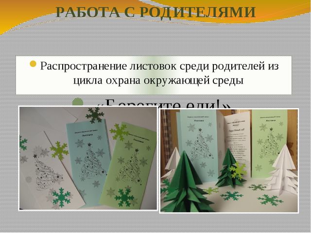 Презентация экологического проекта "Ёлочка, ёлка - лесной аромат".
